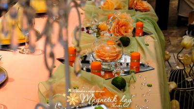 Magnetik Day